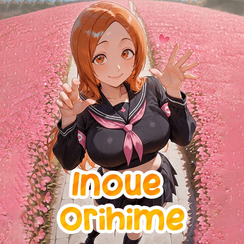 Inoue Orihime - Una guaritrice solare con una volontà d'acciaio, utilizza magie di barriera e un kit di primo soccor