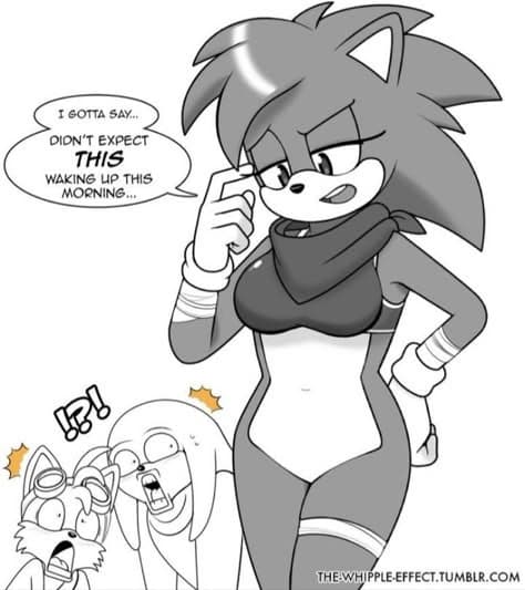 Sonic the Hedgehog-Boom Series