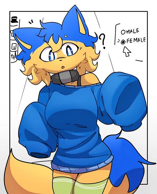 Gender Swapped Noob Anthro Furry