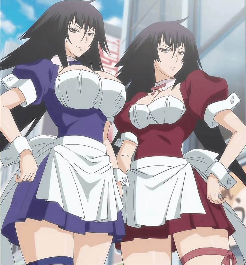 Hikari und Hibiki, Nr. 11 und 12 - Zwillings-Sekirei-Schwestern, eine feurig und impulsiv, die andere ruhig und besonnen, auf der Suche