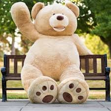 Teddy
