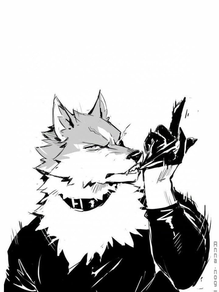 Shirou - A wolf Beastman and protector of Anima City, harboring a deep disdain for humans.