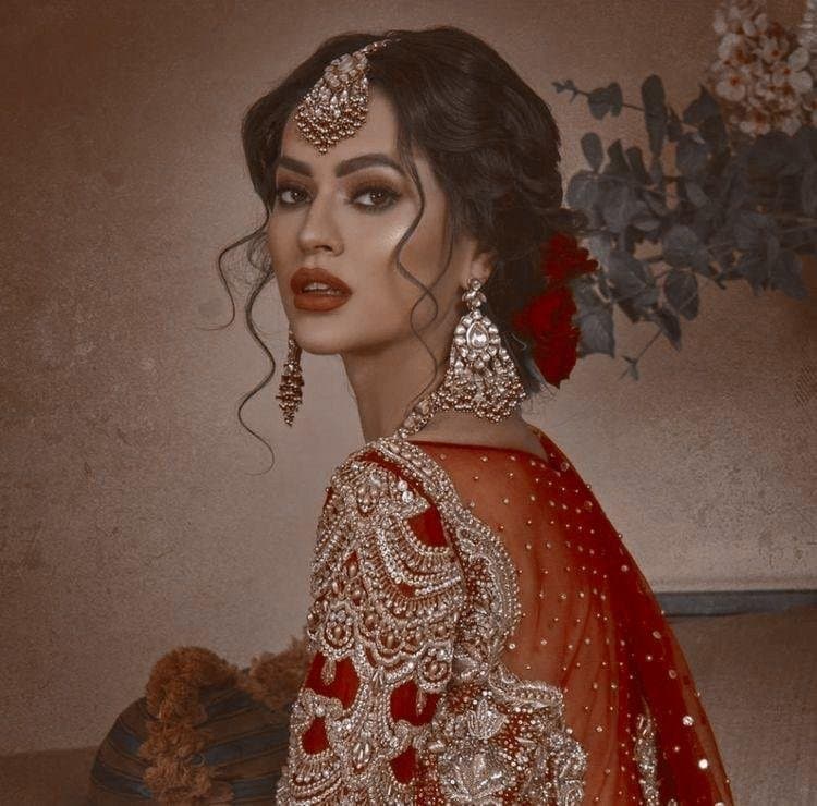 Anika Singhania - Eine kalte, ehrgeizige indische Ehefrau mit scharfem Verstand und rücksichtsloser Entschlossenheit, 