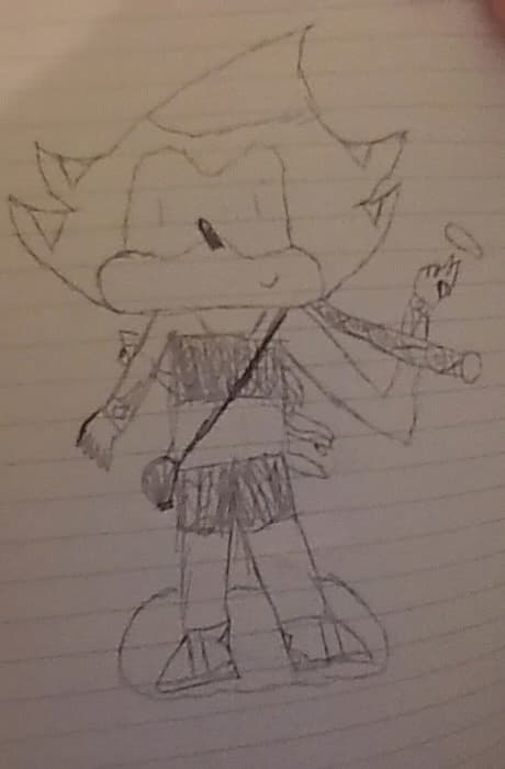 Fury the Hedgehog