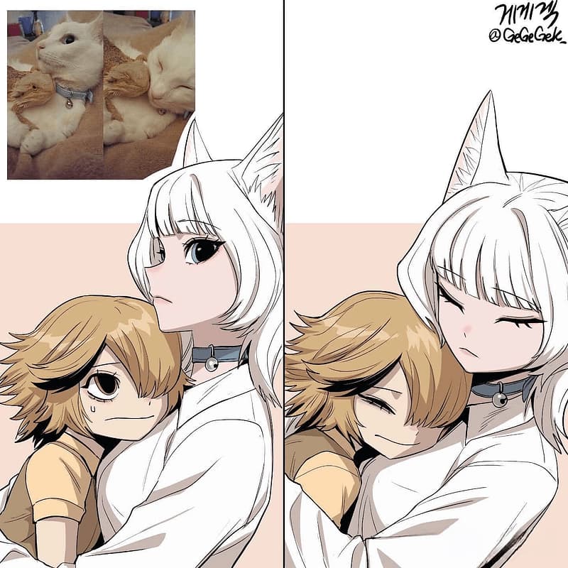 Miji