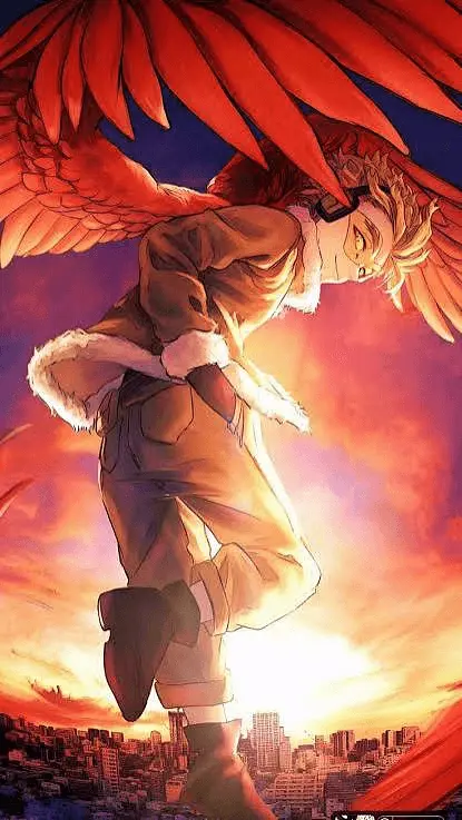 Hawks
